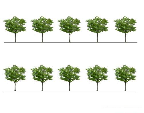 Десять деревьев - Графическая головоломка